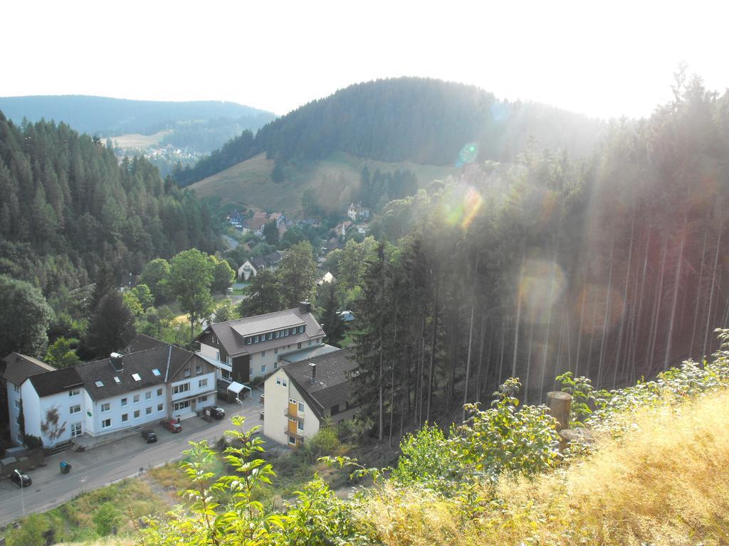 Ferienwohnung Sonnenhuegel วิลเดอมานน์ ภายนอก รูปภาพ